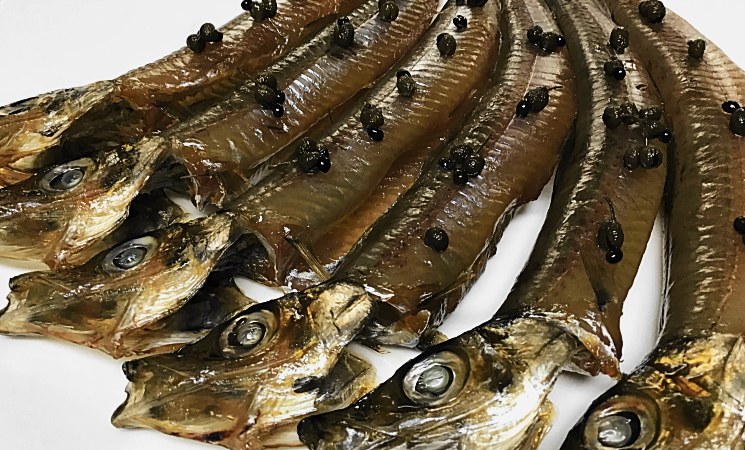 姫丸の山椒醤油タレ メギスの一夜干し