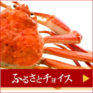 ふるさとチョイスリンクバナー