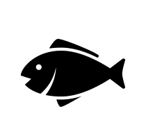 特製一夜干しへのこだわり